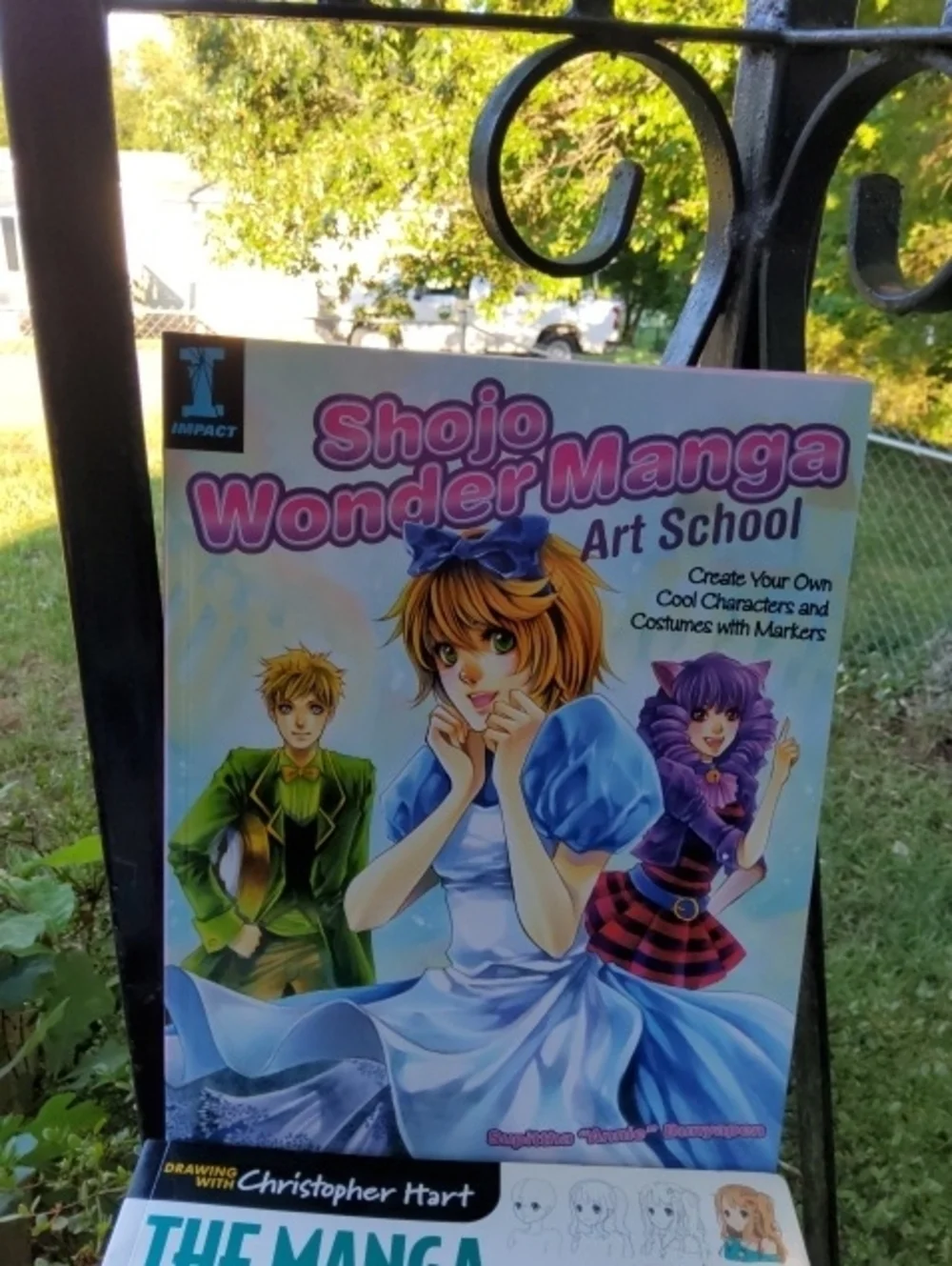Bundle of two Drawing Christopher Hart. Anime.